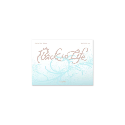 &TEAM - KR 1ST MINI ALBUM [BACK TO LIFE] PHOTOCARD BOX (MINI CD-R VER.)