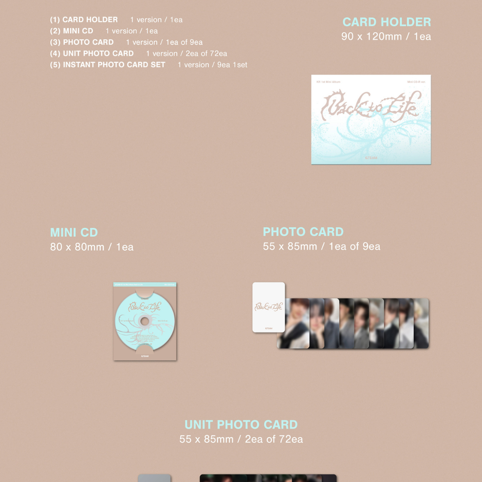 &TEAM - KR 1ST MINI ALBUM [BACK TO LIFE] PHOTOCARD BOX (MINI CD-R VER.)