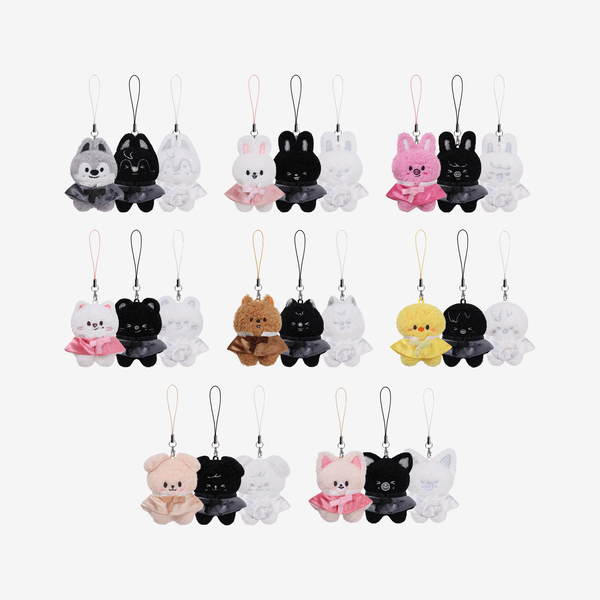 PRE-ORDER] SKZOO SECRET PLUSH MICRO Ver. - RUN IT – Akira.ca