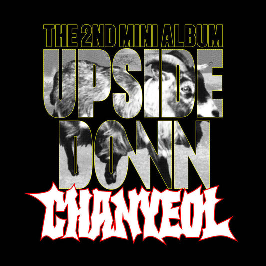 [PRE-ORDER] CHANYEOL - 2ND MINI ALBUM [UPSIDE DOWN] (SMINI VER.)
