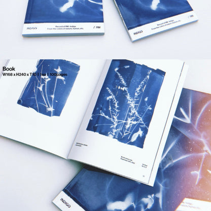 RM (BTS) - INDIGO [BOOK EDITION]